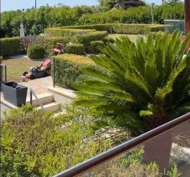 Terrazzamento in giardino con siepi decorative, progettato e realizzato da Edil Garden