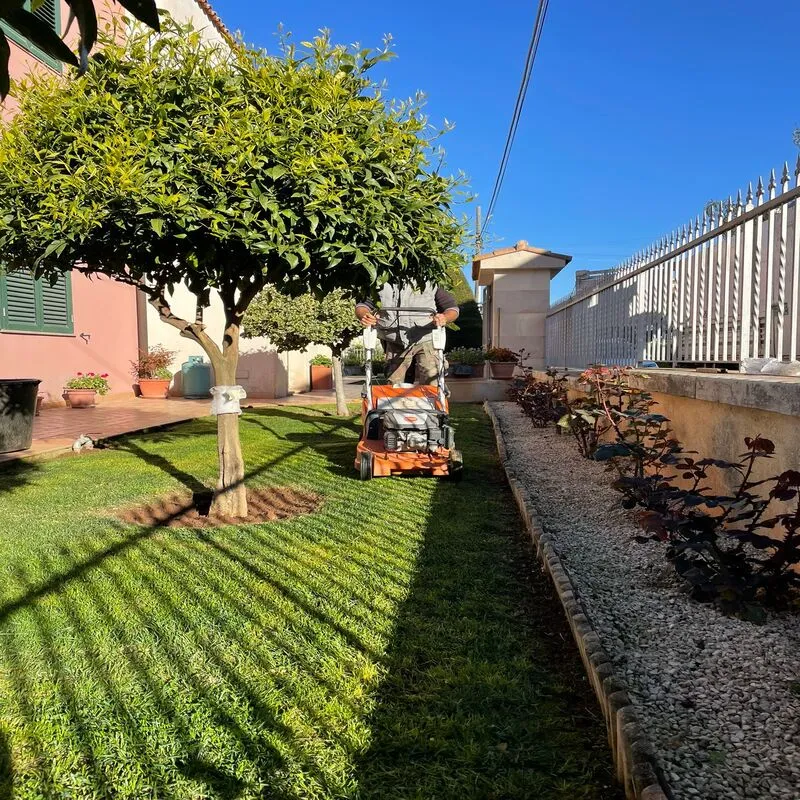 Operazioni di pulizia e rifinitura delle aiuole e dei bordi.